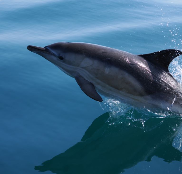 2025-May-Scotland-Week-16